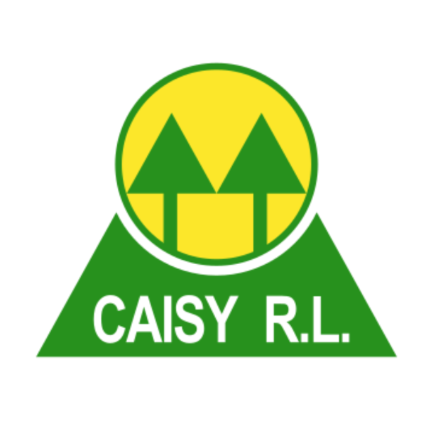 Caisy